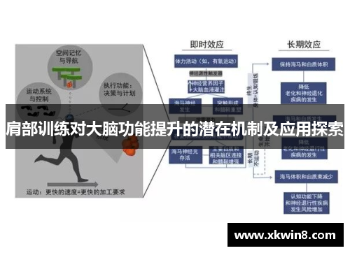肩部训练对大脑功能提升的潜在机制及应用探索