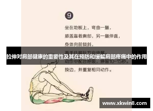 拉伸对肩部健康的重要性及其在预防和缓解肩部疼痛中的作用